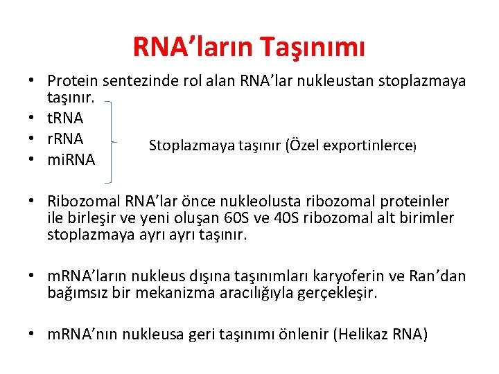 RNA’ların Taşınımı • Protein sentezinde rol alan RNA’lar nukleustan stoplazmaya taşınır. • t. RNA