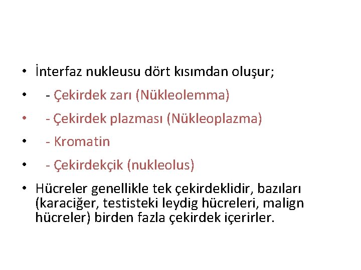  • İnterfaz nukleusu dört kısımdan oluşur; • - Çekirdek zarı (Nükleolemma) • -