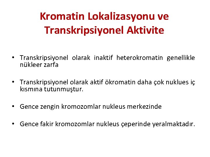 Kromatin Lokalizasyonu ve Transkripsiyonel Aktivite • Transkripsiyonel olarak inaktif heterokromatin genellikle nükleer zarfa •