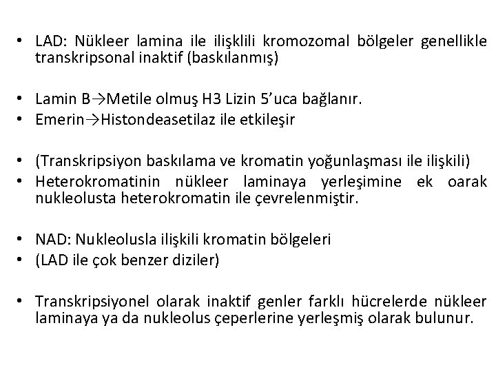  • LAD: Nükleer lamina ile ilişklili kromozomal bölgeler genellikle transkripsonal inaktif (baskılanmış) •