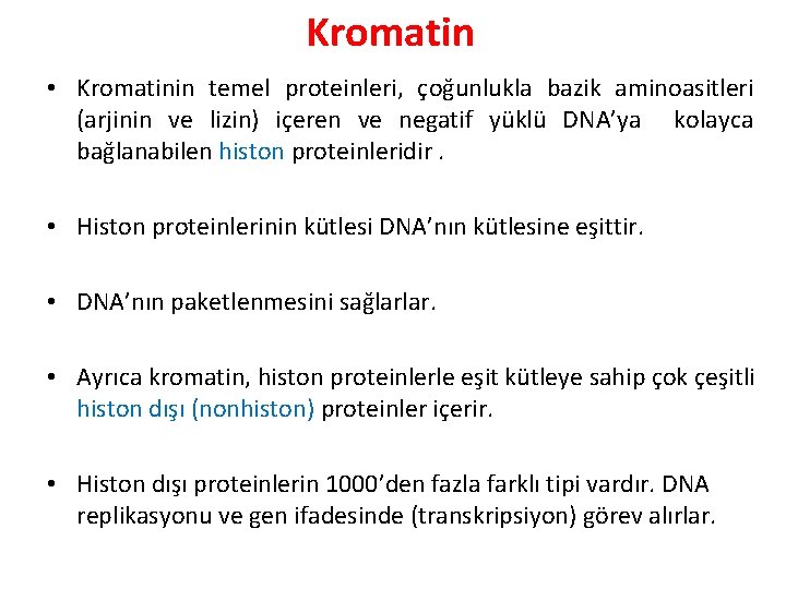 Kromatin • Kromatinin temel proteinleri, çoğunlukla bazik aminoasitleri (arjinin ve lizin) içeren ve negatif