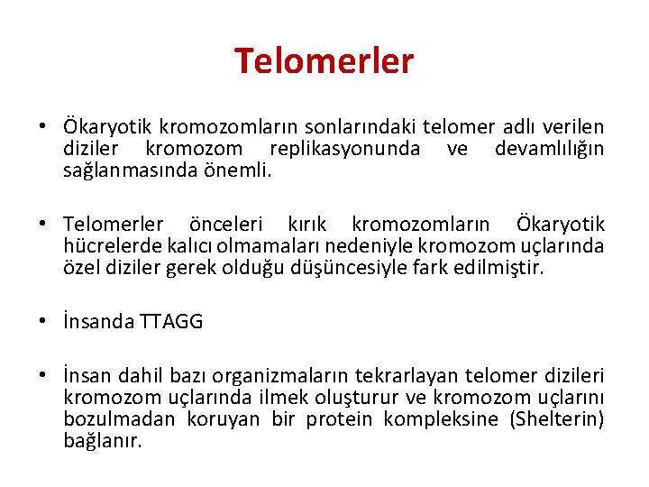 Telomerler • Ökaryotik kromozomların sonlarındaki telomer adlı verilen diziler kromozom replikasyonunda ve devamlılığın sağlanmasında