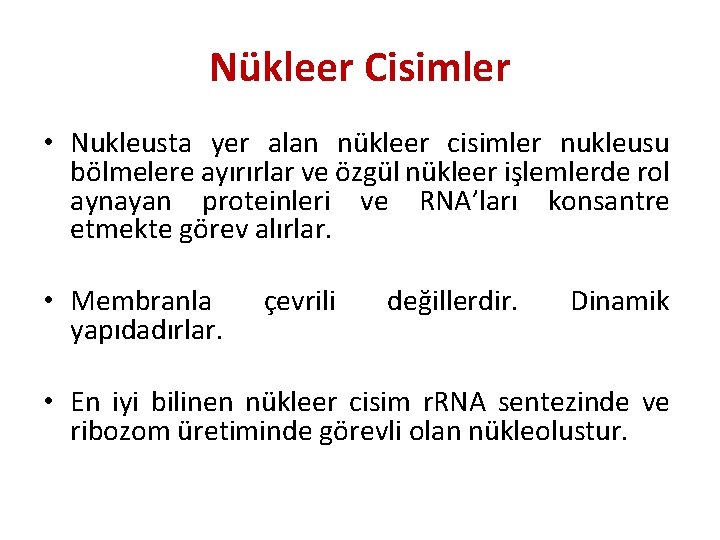 Nükleer Cisimler • Nukleusta yer alan nükleer cisimler nukleusu bölmelere ayırırlar ve özgül nükleer