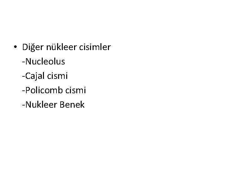  • Diğer nükleer cisimler -Nucleolus -Cajal cismi -Policomb cismi -Nukleer Benek 