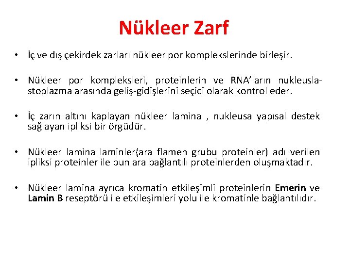 Nükleer Zarf • İç ve dış çekirdek zarları nükleer por komplekslerinde birleşir. • Nükleer