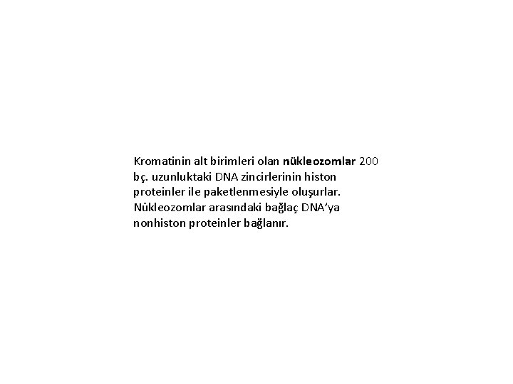 Kromatinin alt birimleri olan nükleozomlar 200 bç. uzunluktaki DNA zincirlerinin histon proteinler ile paketlenmesiyle