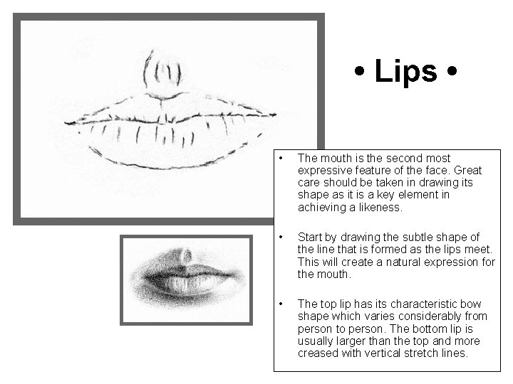  • Lips • • The mouth is the second most expressive feature of