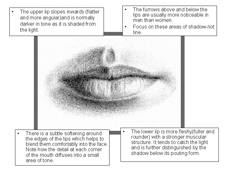  • • The upper lip slopes inwards (flatter and more angular)and is normally