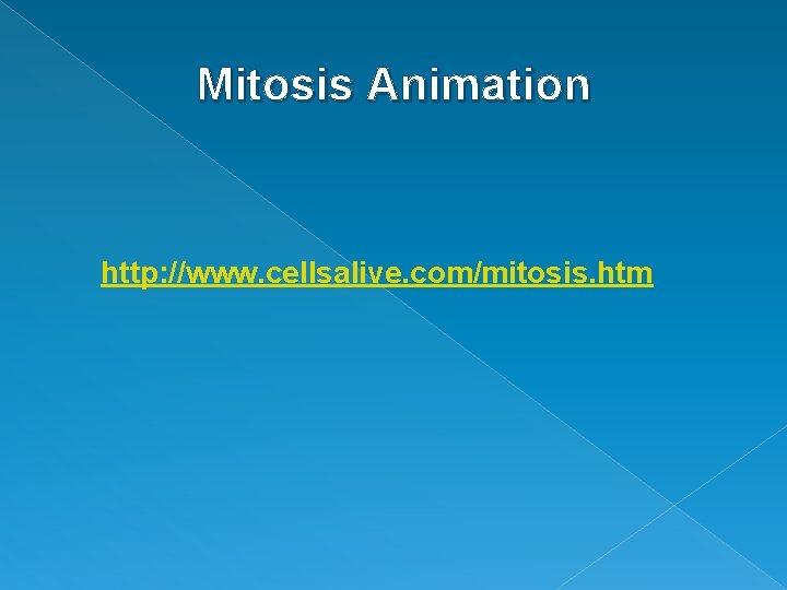 Mitosis Animation http: //www. cellsalive. com/mitosis. htm 
