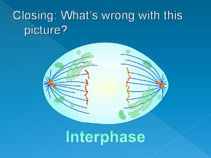 Closing: What’s wrong with this picture? 