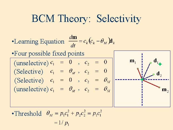 BCM Theory: Selectivity • Learning Equation • Four possible fixed points , (unselective) ,