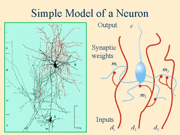 Simple Model of a Neuron Output c Synaptic weights m 1 m 3 m