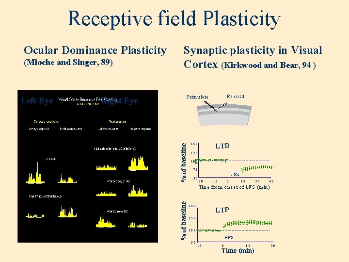 Receptive field Plasticity Left Eye Right Eye R e c o rd S tim