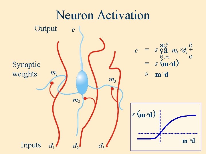 Neuron Activation Output Synaptic weights c m 1 m 3 æn ö c =