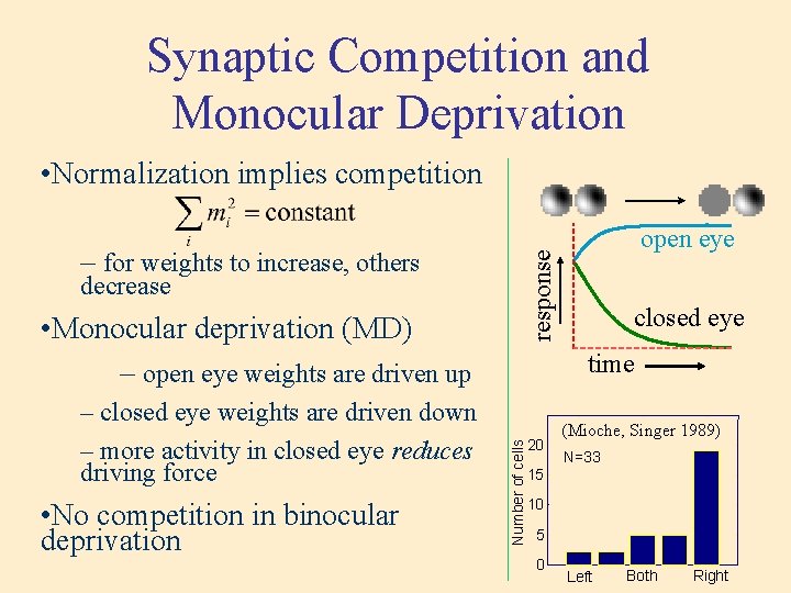 Synaptic Competition and Monocular Deprivation • Normalization implies competition response – for weights to