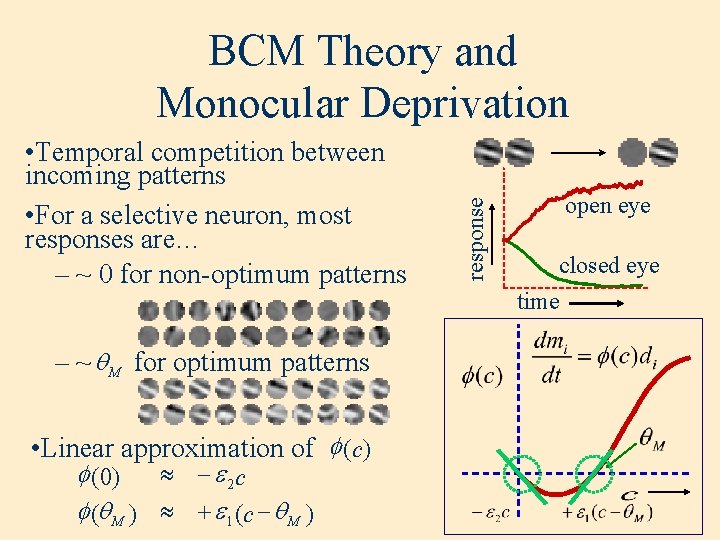  • Temporal competition between incoming patterns • For a selective neuron, most responses