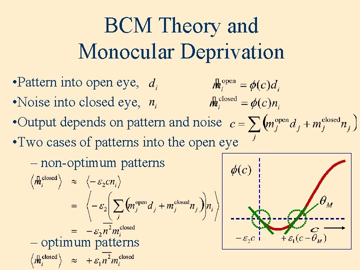 BCM Theory and Monocular Deprivation • Pattern into open eye, • Noise into closed