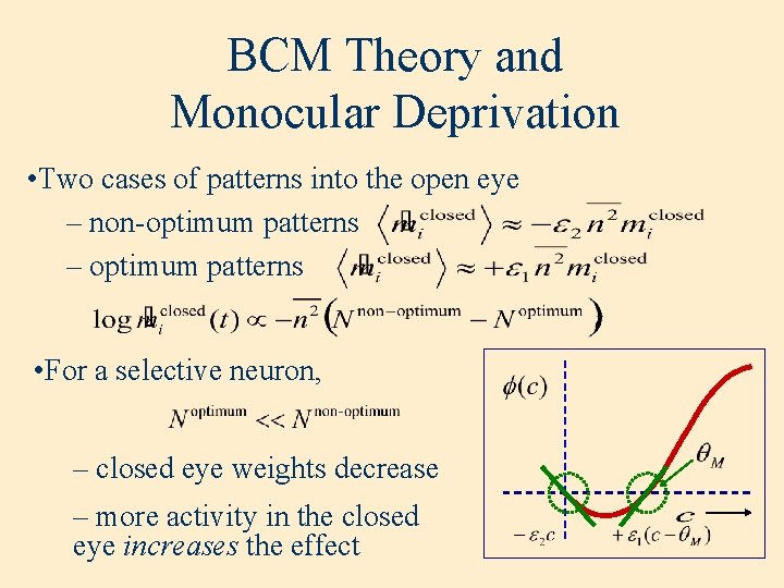 BCM Theory and Monocular Deprivation • Two cases of patterns into the open eye