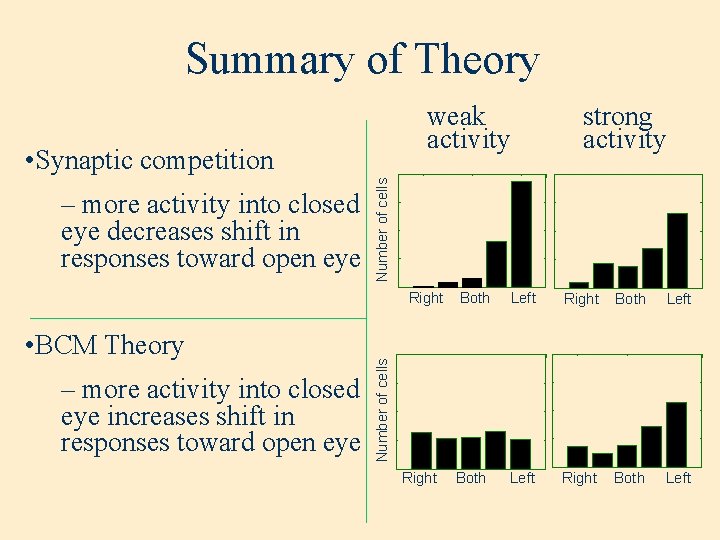 Summary of Theory weak activity – more activity into closed eye decreases shift in