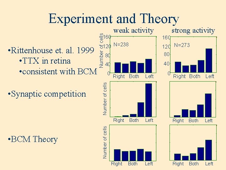 Number of cells Experiment and Theory 160 • BCM Theory 120 N=273 80 80