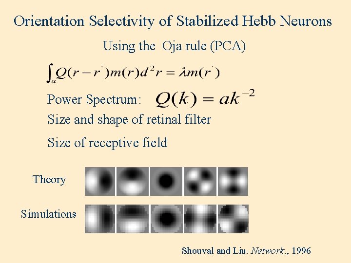 Orientation Selectivity of Stabilized Hebb Neurons Using the Oja rule (PCA) Power Spectrum: Size