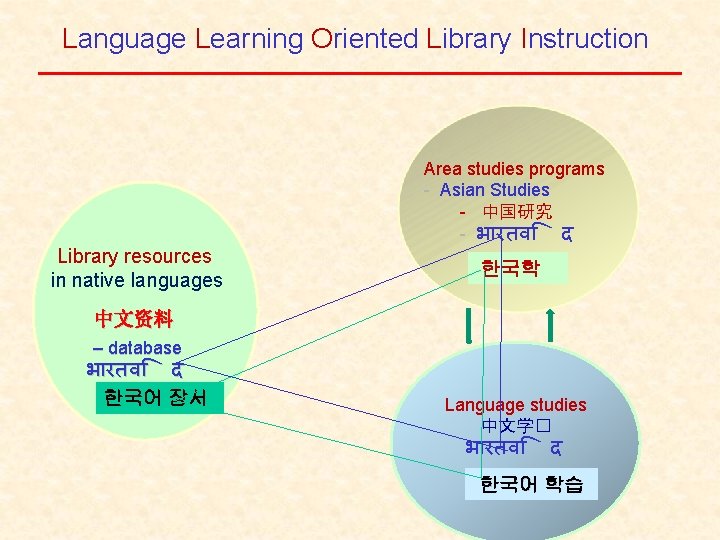 Language Learning Oriented Library Instruction Library resources in native languages Area studies programs -