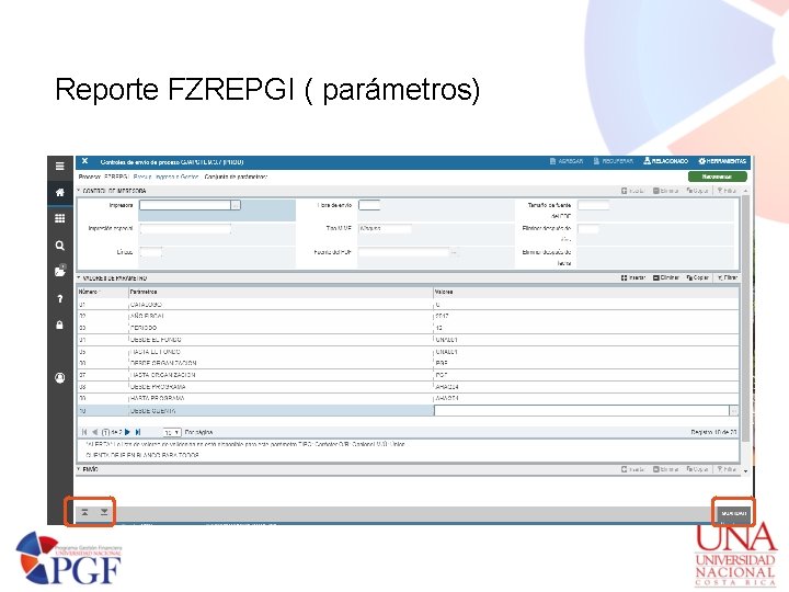 Reporte FZREPGI ( parámetros) 