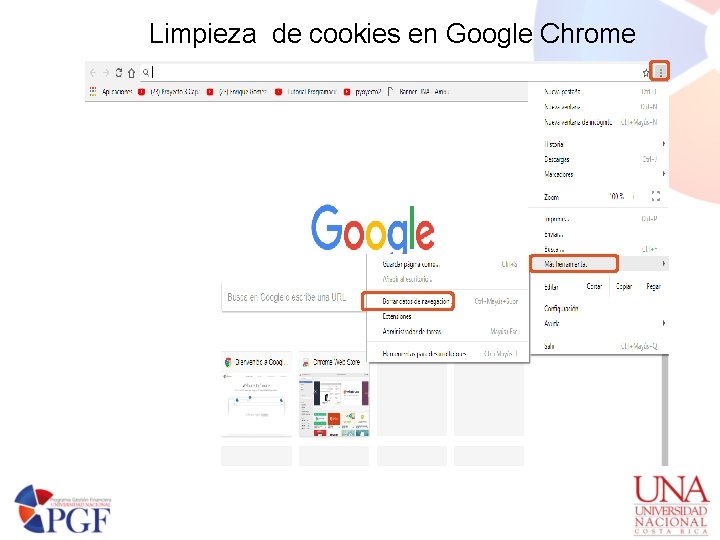 Limpieza de cookies en Google Chrome 