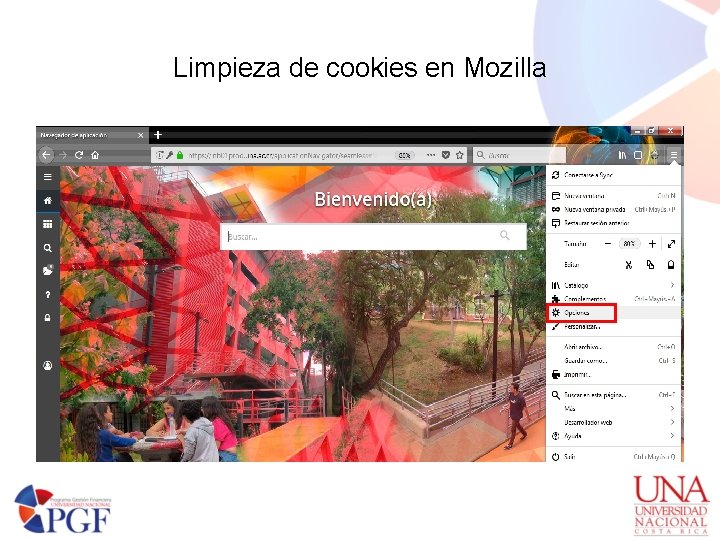 Limpieza de cookies en Mozilla 