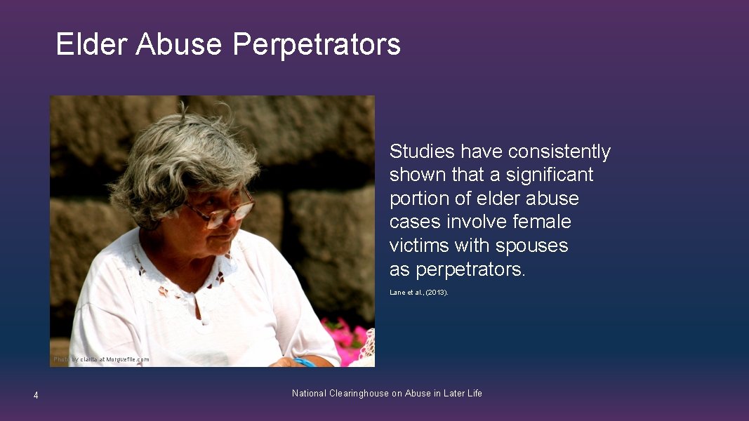 Elder Abuse Perpetrators Studies have consistently shown that a significant portion of elder abuse