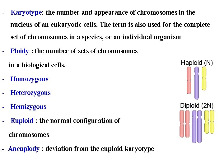 - Karyotype: the number and appearance of chromosomes in the nucleus of an eukaryotic