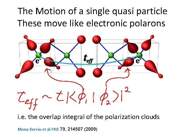 The Motion of a single quasi particle These move like electronic polarons i. e.