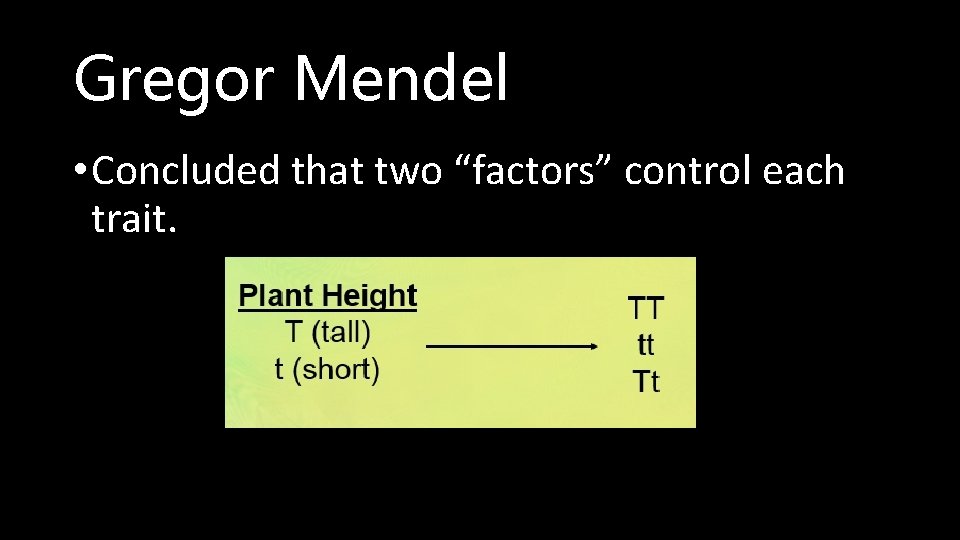 Gregor Mendel • Concluded that two “factors” control each trait. 