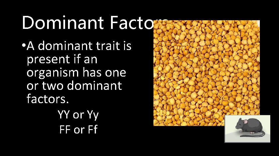 Dominant Factors • A dominant trait is present if an organism has one or