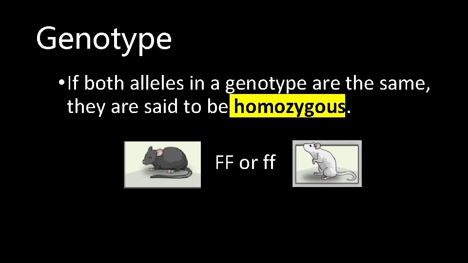Genotype • If both alleles in a genotype are the same, they are said