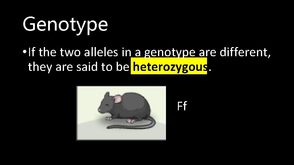 Genotype • If the two alleles in a genotype are different, they are said