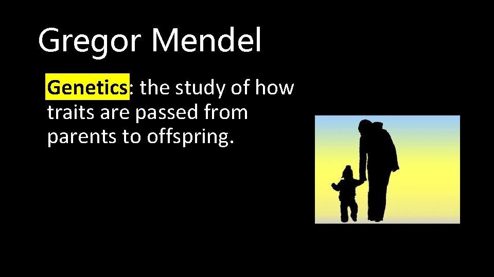 Gregor Mendel • Genetics: the study of how traits are passed from parents to