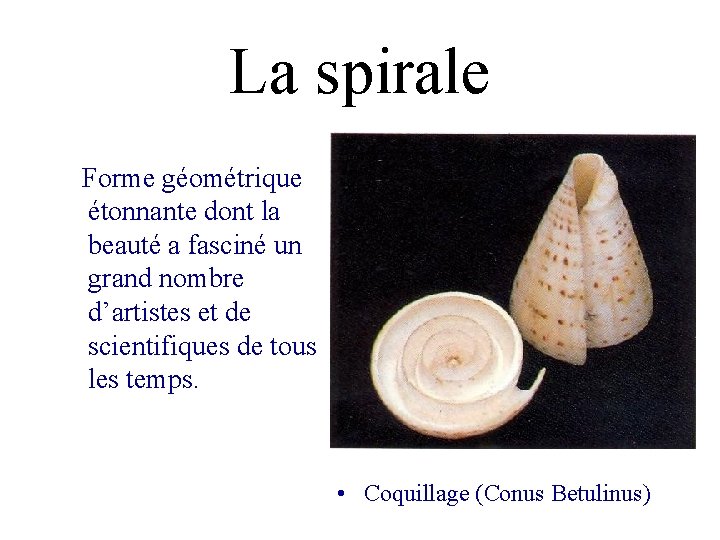 La spirale Forme géométrique étonnante dont la beauté a fasciné un grand nombre d’artistes