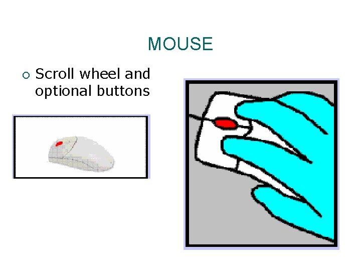MOUSE ¡ Scroll wheel and optional buttons 