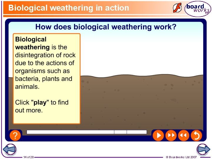 Biological weathering in action 14 of 28 © Boardworks Ltd 2007 