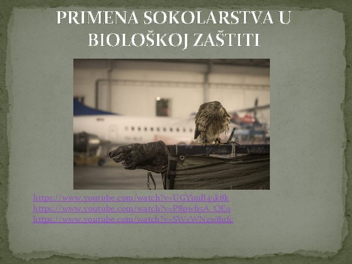 PRIMENA SOKOLARSTVA U BIOLOŠKOJ ZAŠTITI https: //www. youtube. com/watch? v=UGYjm. B 45 k 8