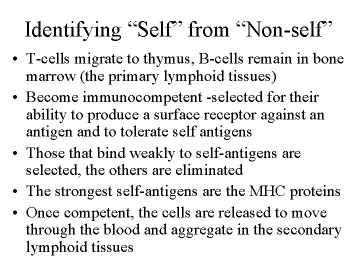 Identifying “Self” from “Non-self” • T-cells migrate to thymus, B-cells remain in bone marrow