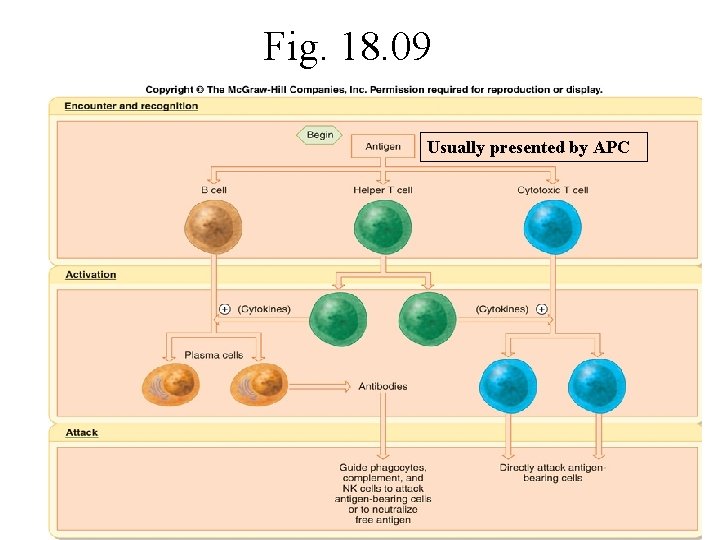 Fig. 18. 09 Usually presented by APC 
