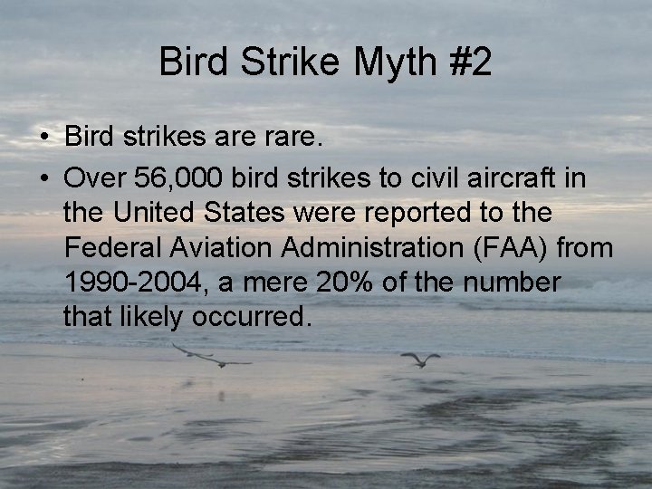 Bird Strike Myth #2 • Bird strikes are rare. • Over 56, 000 bird