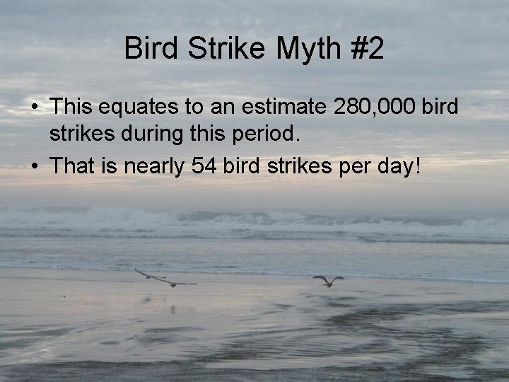 Bird Strike Myth #2 • This equates to an estimate 280, 000 bird strikes