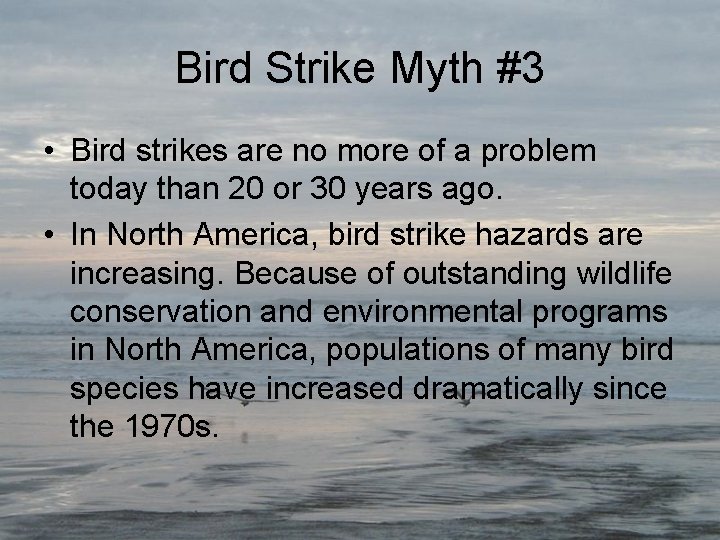 Bird Strike Myth #3 • Bird strikes are no more of a problem today