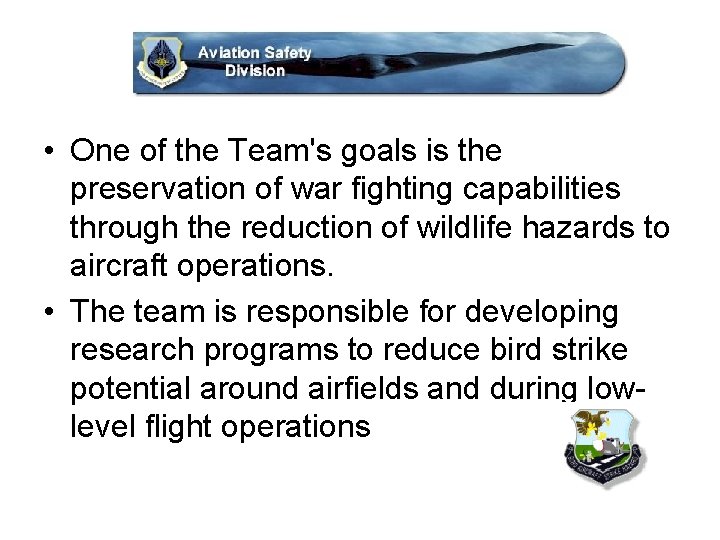  • One of the Team's goals is the preservation of war fighting capabilities