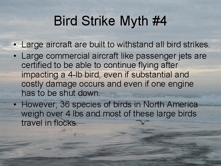 Bird Strike Myth #4 • Large aircraft are built to withstand all bird strikes.