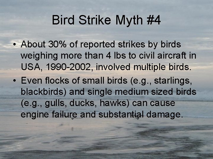 Bird Strike Myth #4 • About 30% of reported strikes by birds weighing more