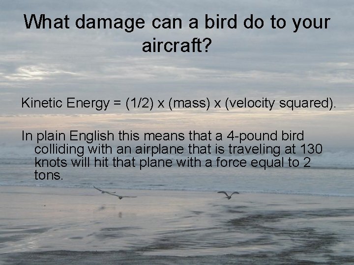 What damage can a bird do to your aircraft? Kinetic Energy = (1/2) x